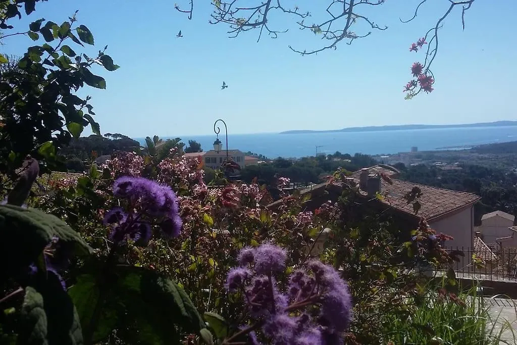Appartement Studio 4 Pers Coeur Du Lavandou 5Mn A Pied Des Plages Le Lavandou